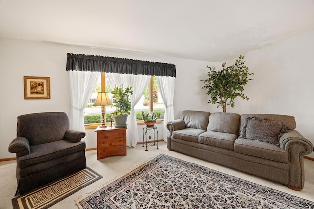 417 Raintree Dr, Fort Atkinson, WI 53538 - living room featuring light carpet