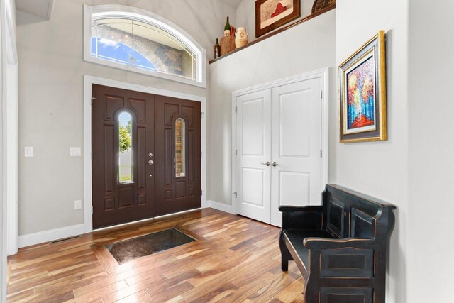 3403 Whistling Wind Way, Sun Prairie, WI 53590 - entryway with healthy amount of natural light, a high ceiling, and wood finished floors