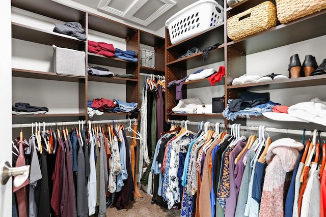 3403 Whistling Wind Way, Sun Prairie, WI 53590 - walk in closet featuring carpet floors