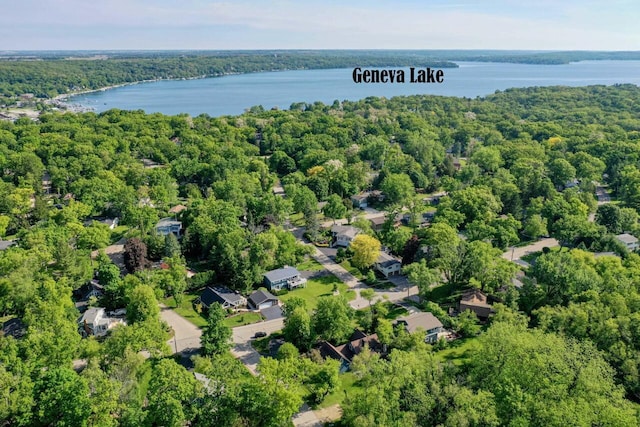 933 Juneau Dr, Fontana, WI 53125 - bird's eye view of a forest and a nearby body of water