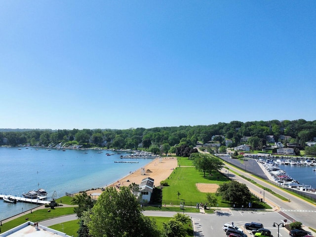 933 Juneau Dr, Fontana, WI 53125 - bird's eye view of a large body of water
