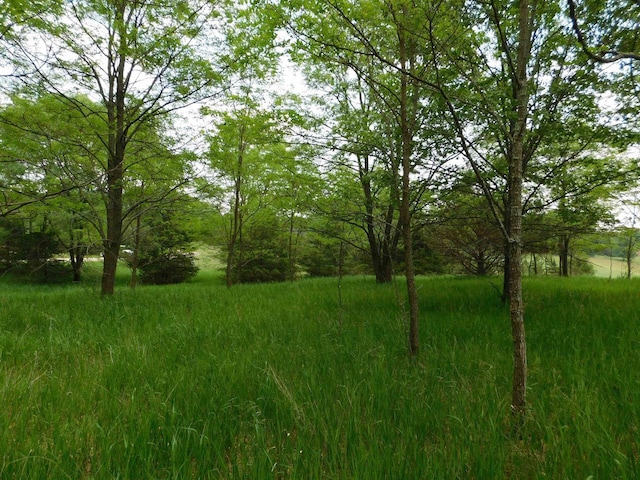 LOT57 Eagle Ln, Montello, WI 53949