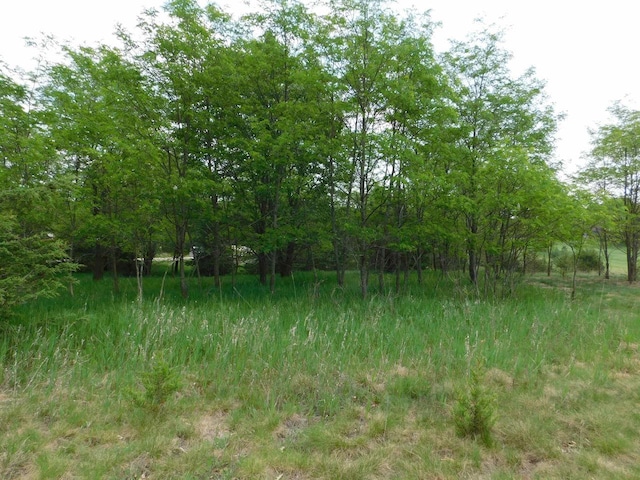 LOT57 Eagle Ln, Montello, WI 53949
