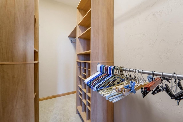 536 Coonen Dr, Combined Locks, WI 54113 - walk in closet with carpet floors