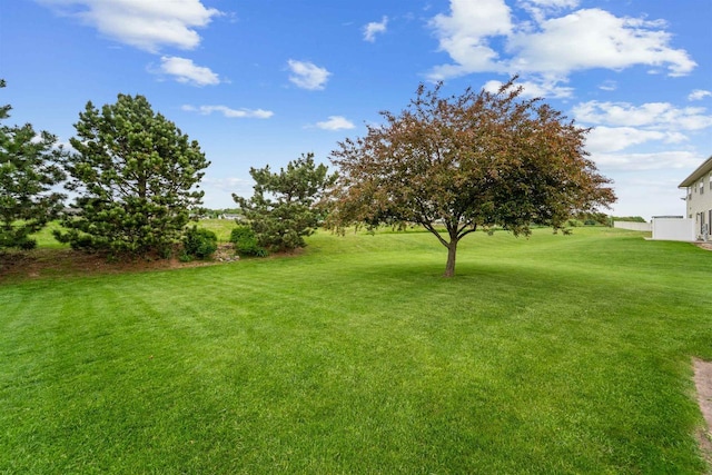 536 Coonen Dr, Combined Locks, WI 54113 - view of green lawn