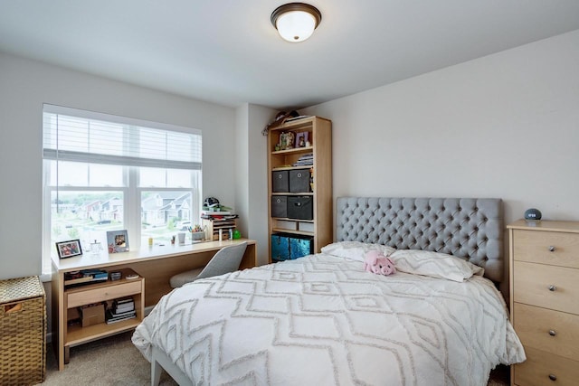 447 Crusader Pt, Waunakee, WI 53597 - view of carpeted bedroom