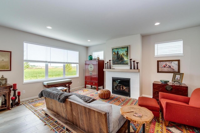 447 Crusader Pt, Waunakee, WI 53597 - living room featuring a glass covered fireplace, baseboards, wood finished floors, and recessed lighting