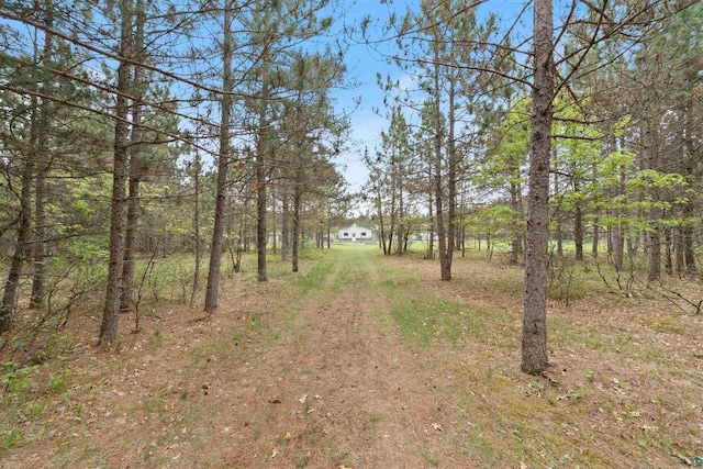 14303 Rock N Roll Ln, Gordon, WI 54838 - view of yard