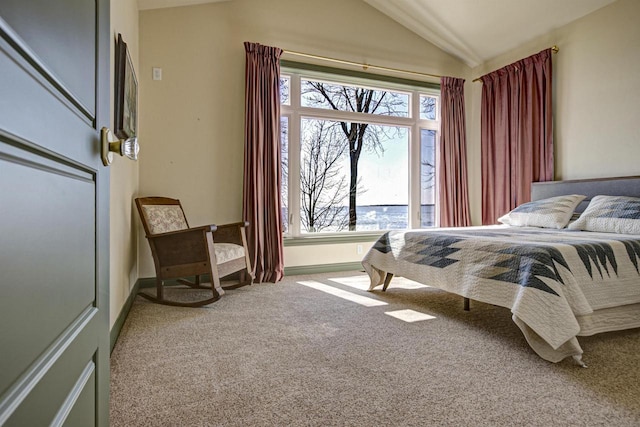 W7133 Firelane 2, Menasha, WI 54952 - bedroom featuring carpet, vaulted ceiling, and baseboards