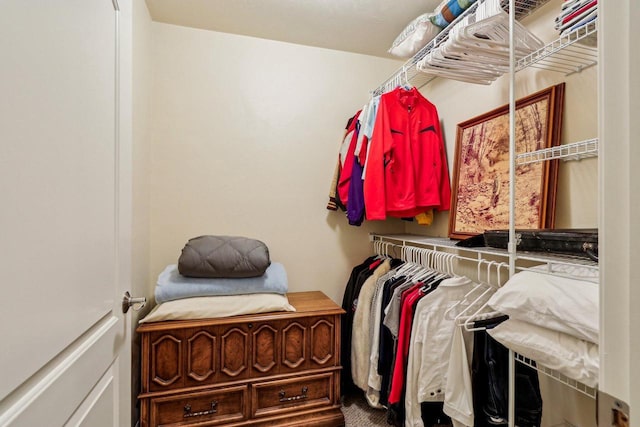 522 Otto Way, Elkhart Lake, WI 53020 - view of spacious closet