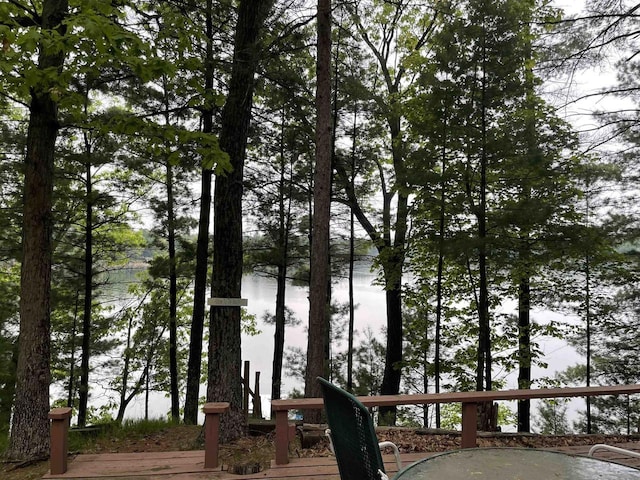 W5522 S Round Lake Rd, Wild Rose, WI 54984 - water view