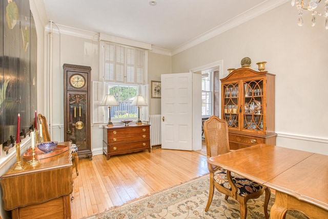 150 Rountree Ave, Platteville, WI 53818 - home office with plenty of natural light, hardwood / wood-style floors, radiator heating unit, crown molding, and baseboards