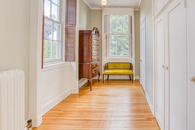 150 Rountree Ave, Platteville, WI 53818 - sitting room featuring radiator, healthy amount of natural light, light wood-style flooring, ornamental molding, and a decorative wall