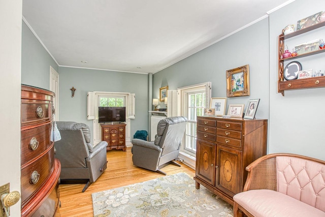 150 Rountree Ave, Platteville, WI 53818 - living area featuring ornamental molding and light wood-style floors
