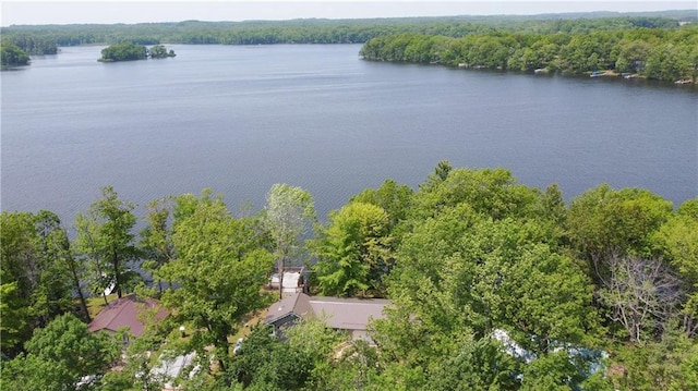 999 Mcgill Point Rd, Weyerhaeuser, WI 54895 - aerial view of a heavily wooded area and a nearby body of water