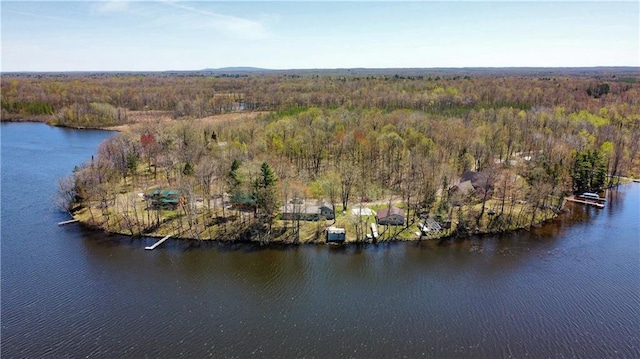 999 Mcgill Point Rd, Weyerhaeuser, WI 54895 - bird's eye view of a heavily wooded area and a nearby body of water