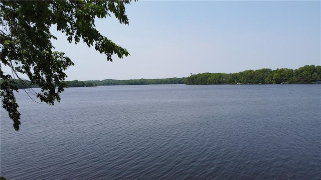 999 Mcgill Point Rd, Weyerhaeuser, WI 54895 - water view