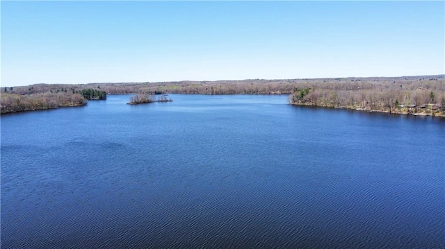 999 Mcgill Point Rd, Weyerhaeuser, WI 54895 - water view
