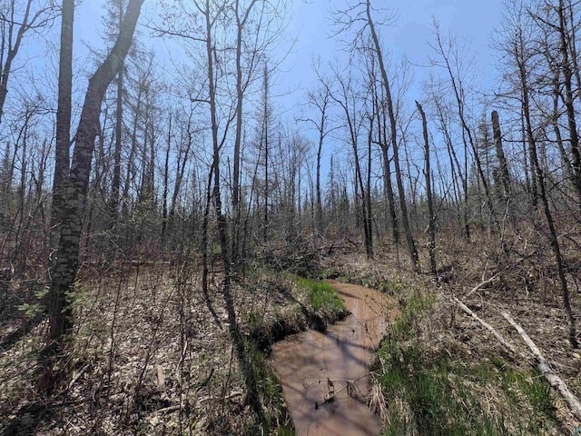 67ACRESON County Highway A, Iron River, WI 54847