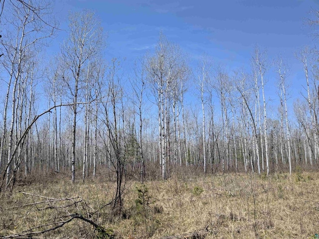 67ACRESON County Highway A, Iron River, WI 54847