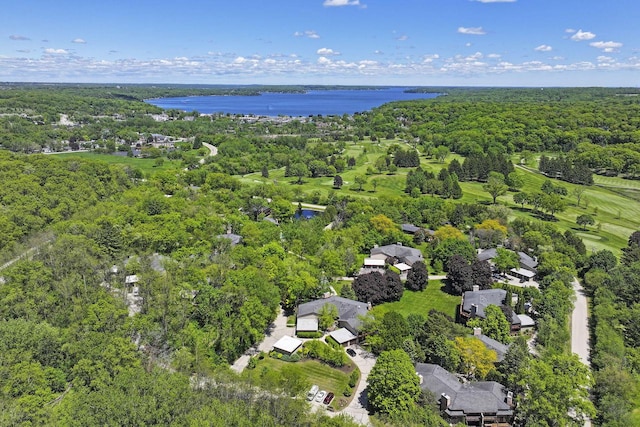940 Alpine Dr Unit 01, Fontana, WI 53125 - aerial perspective of suburban area with a large body of water and a forest