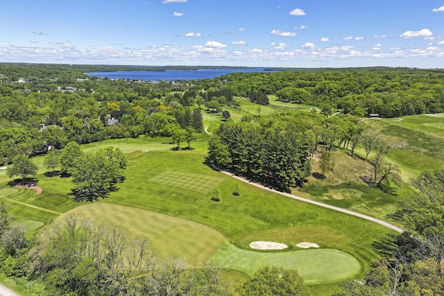 940 Alpine Dr Unit 01, Fontana, WI 53125 - drone / aerial view of a nearby body of water and a golf club