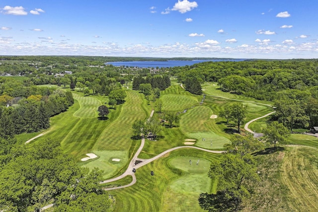 940 Alpine Dr Unit 01, Fontana, WI 53125 - aerial overview of property's location with a large body of water, a golf course, and a heavily wooded area