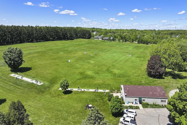 940 Alpine Dr Unit 01, Fontana, WI 53125 - drone / aerial view