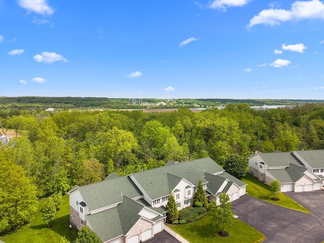 91 Potawatomi Rd Unit N-2, Williams Bay, WI 53191 - aerial view of a heavily wooded area