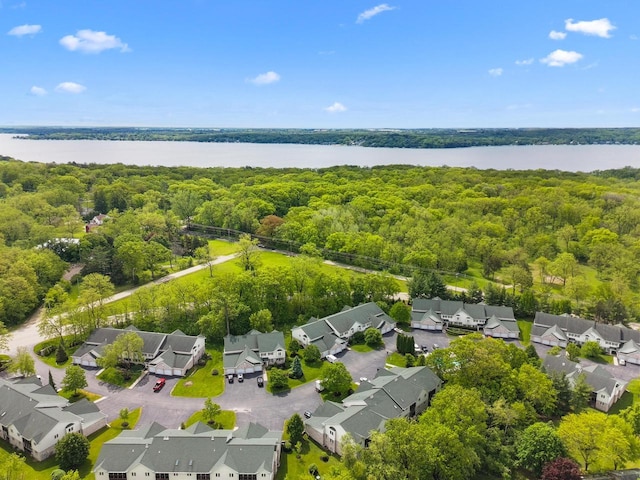 91 Potawatomi Rd Unit N-2, Williams Bay, WI 53191 - aerial perspective of suburban area with a forest and a large body of water