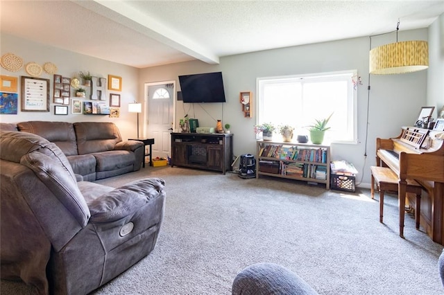 1843 190th St, Centuria, WI 54824 - living room with plenty of natural light, carpet floors, and beamed ceiling