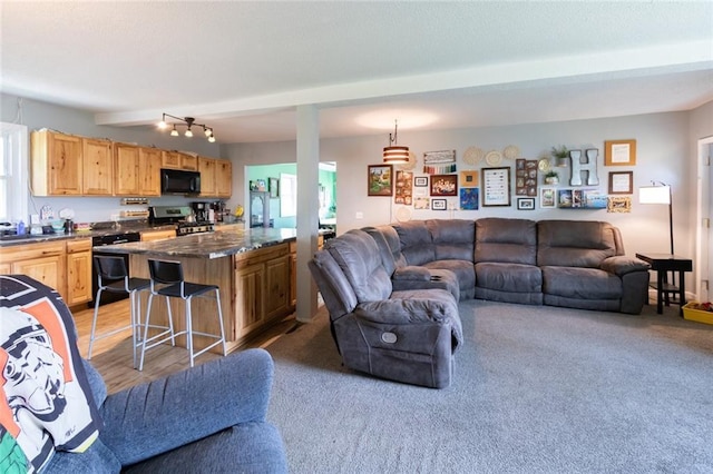 1843 190th St, Centuria, WI 54824 - living room featuring light colored carpet and beam ceiling