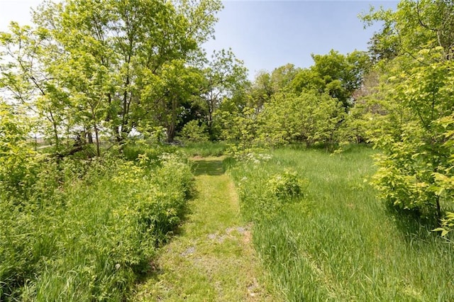 1843 190th St, Centuria, WI 54824 - view of nature