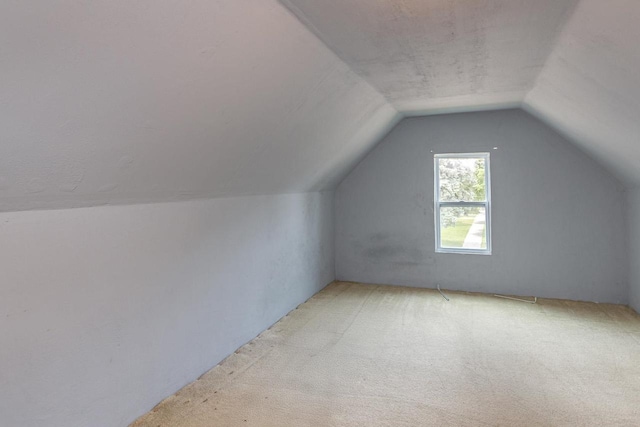 912 N Richmond St, Appleton, WI 54911 - additional living space with vaulted ceiling and light carpet