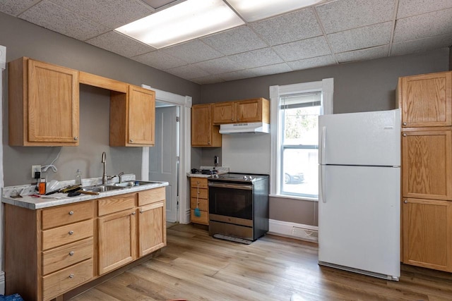 912 N Richmond St, Appleton, WI 54911 - kitchen featuring freestanding refrigerator, under cabinet range hood, stainless steel range with electric cooktop, a drop ceiling, and a sink