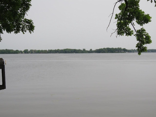 N10380 Howard Dr, Fox Lake, WI 53933 - water view