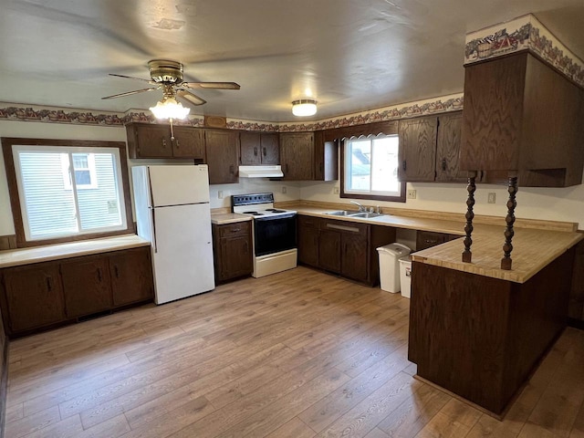 856 8th St, Beloit, WI 53511 - kitchen with white appliances, under cabinet range hood, dark brown cabinetry, and a sink
