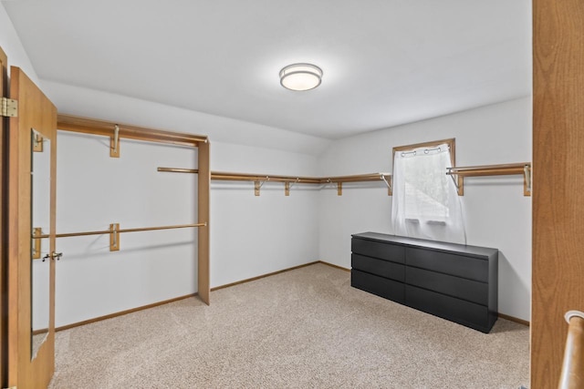 S38W32310 Green Briar Rd, Waukesha, WI 53189 - spacious closet featuring carpet floors