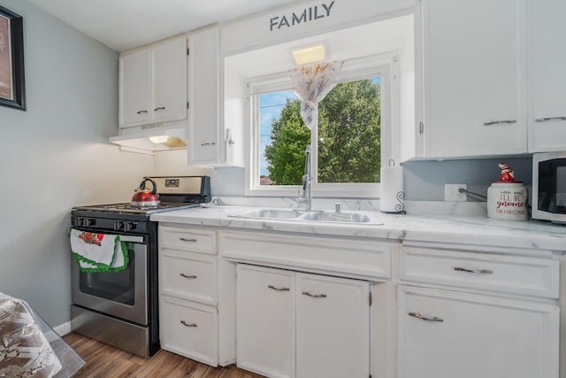 823 De Pere St, Menasha, WI 54952 - kitchen featuring stainless steel appliances, a sink, under cabinet range hood, white cabinetry, and wood finished floors