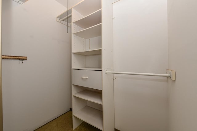 2260 W Good Hope Rd Unit 129, Glendale, WI 53209 - spacious closet with carpet floors