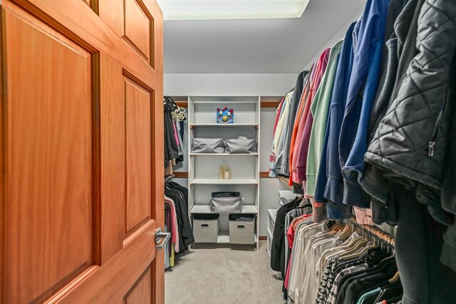 1441 W County Line Rd, River Hills, WI 53217 - walk in closet with light colored carpet