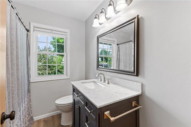 8499 Heron Ave, Cottage Grove, MN 55016 - bathroom with healthy amount of natural light, vanity, toilet, and wood finished floors
