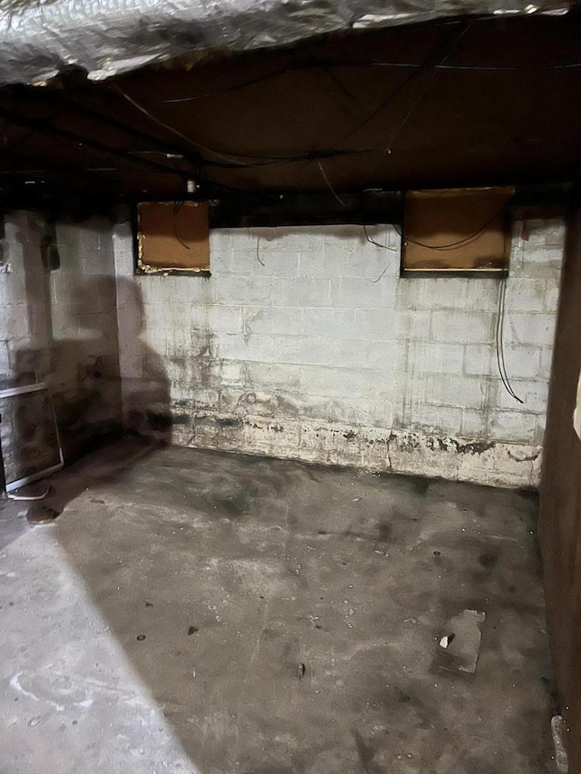 2919 N 50th St Unit 2919A, 2921, Milwaukee, WI 53210 - unfinished below grade area with concrete block wall