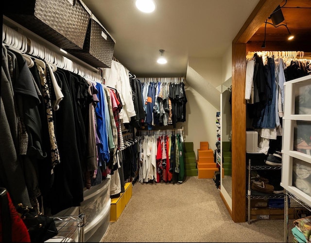 1545 Arboretum Dr Unit 315, Oshkosh, WI 54901 - spacious closet with carpet floors