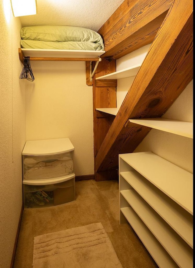 1545 Arboretum Dr Unit 315, Oshkosh, WI 54901 - spacious closet featuring carpet floors