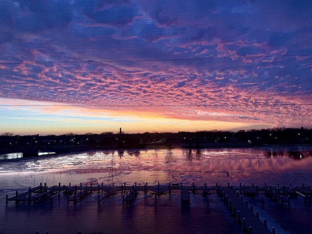 1545 Arboretum Dr Unit 315, Oshkosh, WI 54901 - water view with a dock