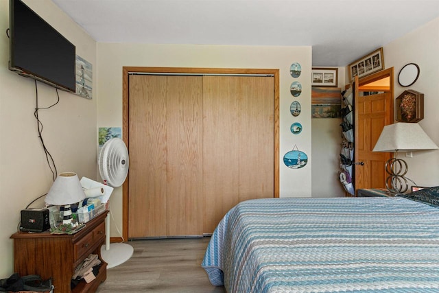 7320 Deer Rd, Wisconsin Rapids, WI 54494 - bedroom featuring wood finished floors and a closet