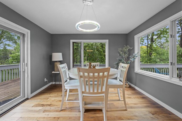 1733 Camelot Dr, Madison, WI 53705 - dining area with plenty of natural light, baseboards, and light wood-style flooring