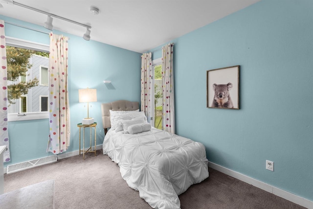 1733 Camelot Dr, Madison, WI 53705 - carpeted bedroom featuring multiple windows, baseboards, and track lighting