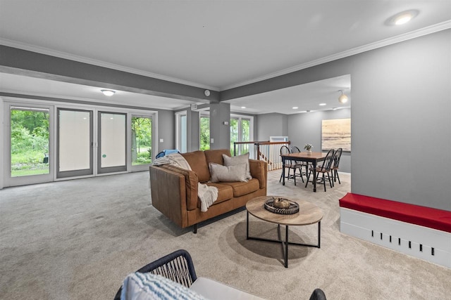 1733 Camelot Dr, Madison, WI 53705 - living room featuring ornamental molding and carpet flooring